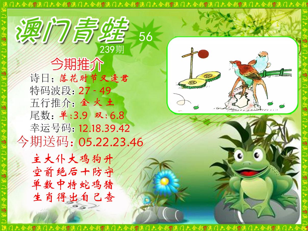 青蛙系列56 第239期