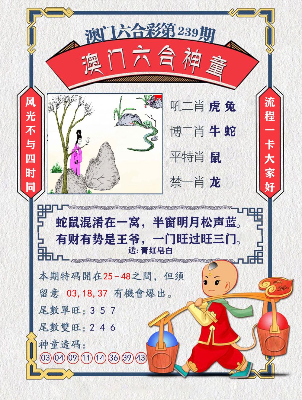 六合神童 第239期