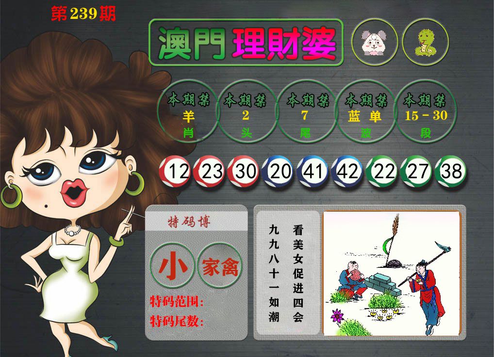 理财婆 第239期