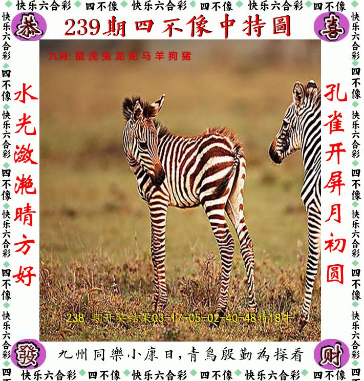 四不像 第239期