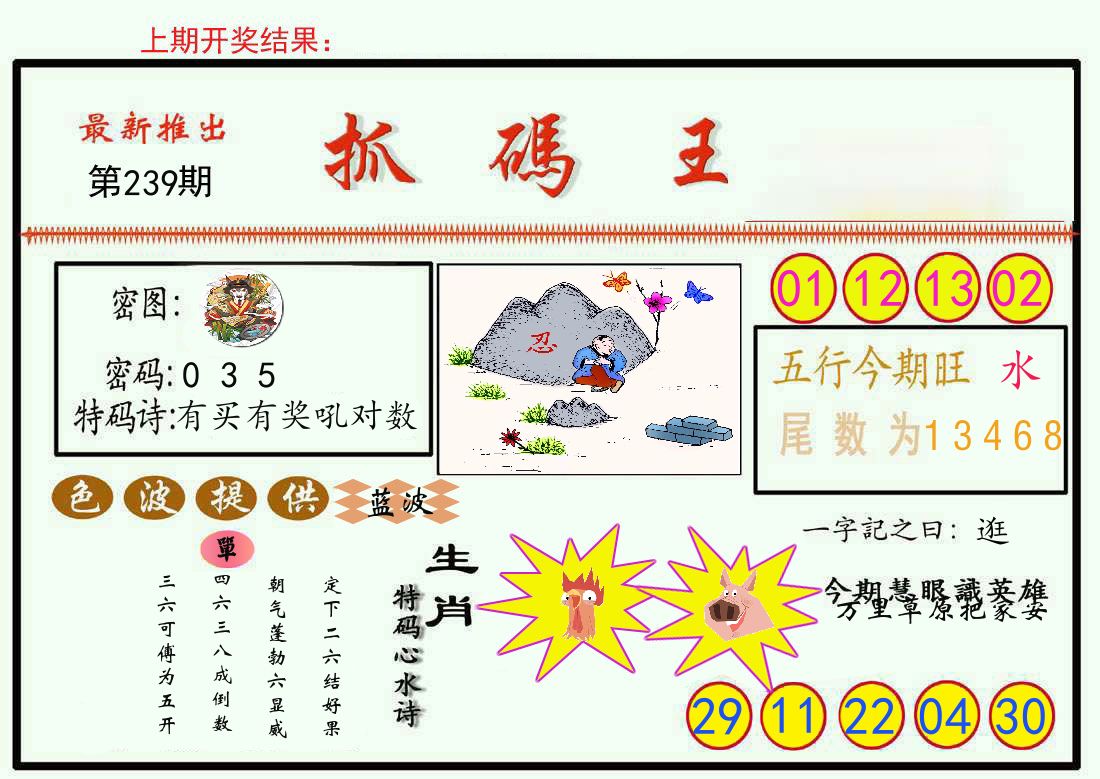 最新抓码王 第239期