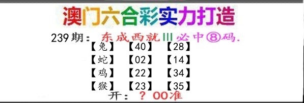 东成西就 第239期