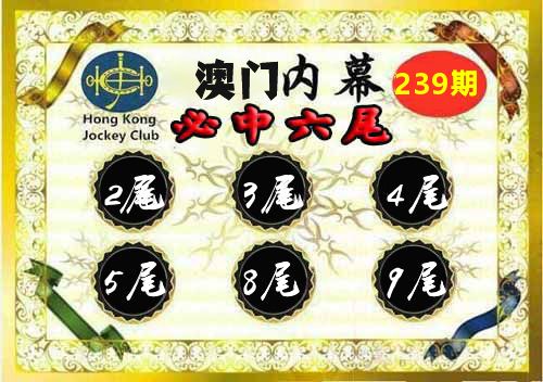 澳门内幕 第239期