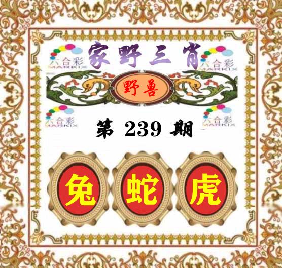 家野三肖 第239期