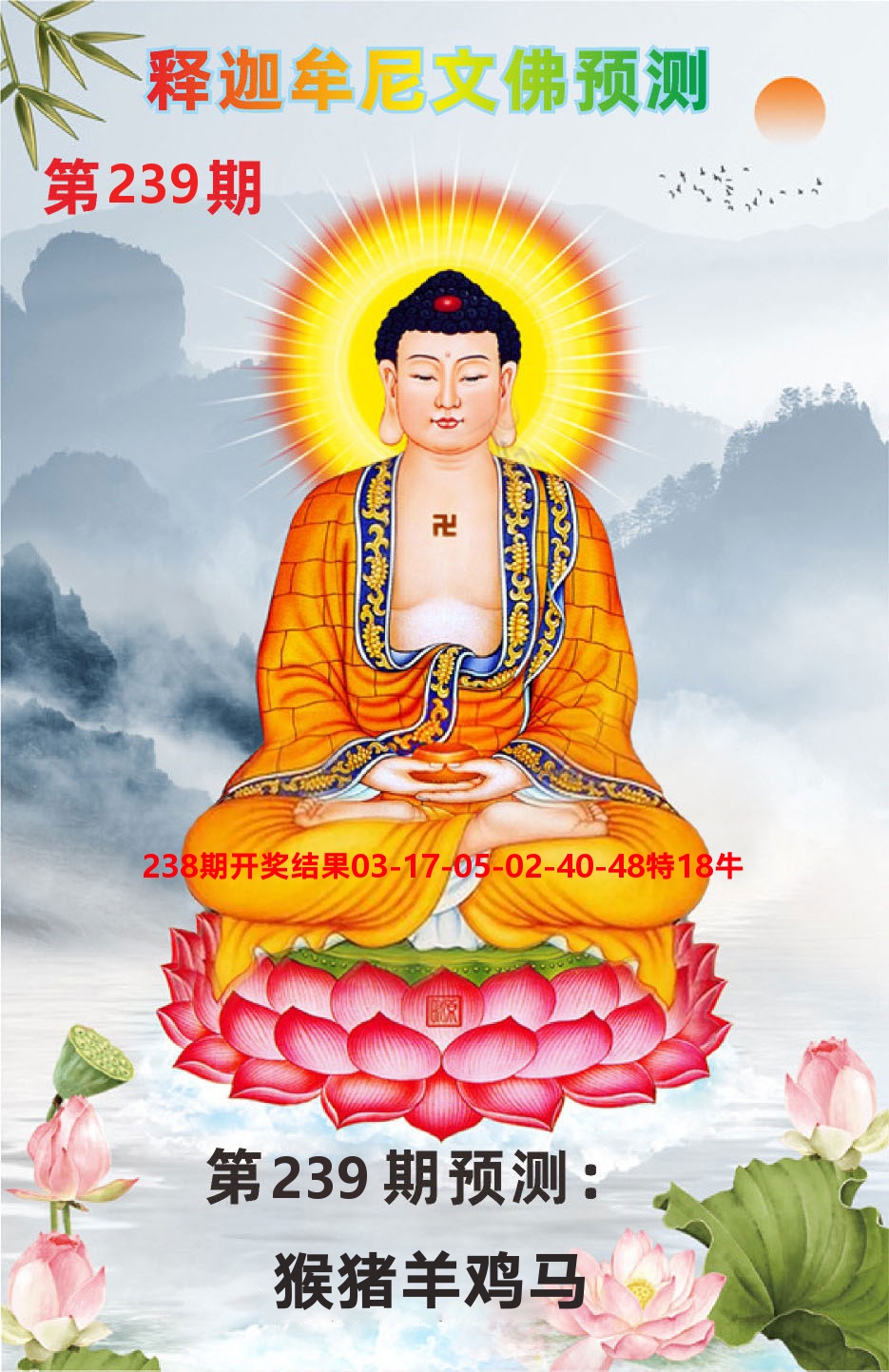 澳门钱多多C 第239期