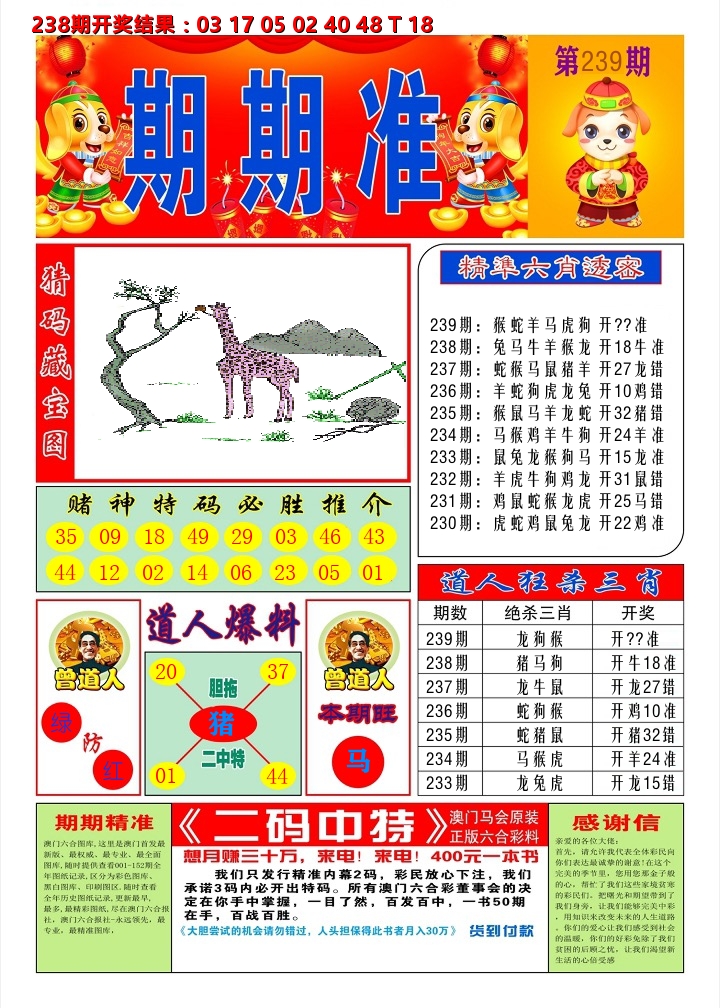 澳门期期准A 第239期