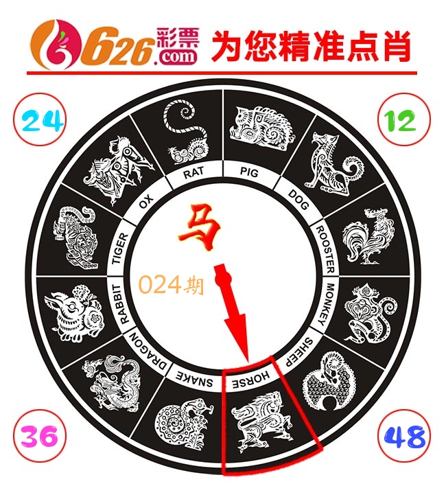精准点肖 第24期
