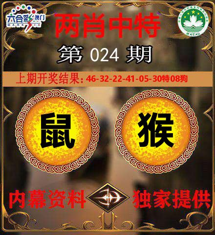 两肖中特 第24期
