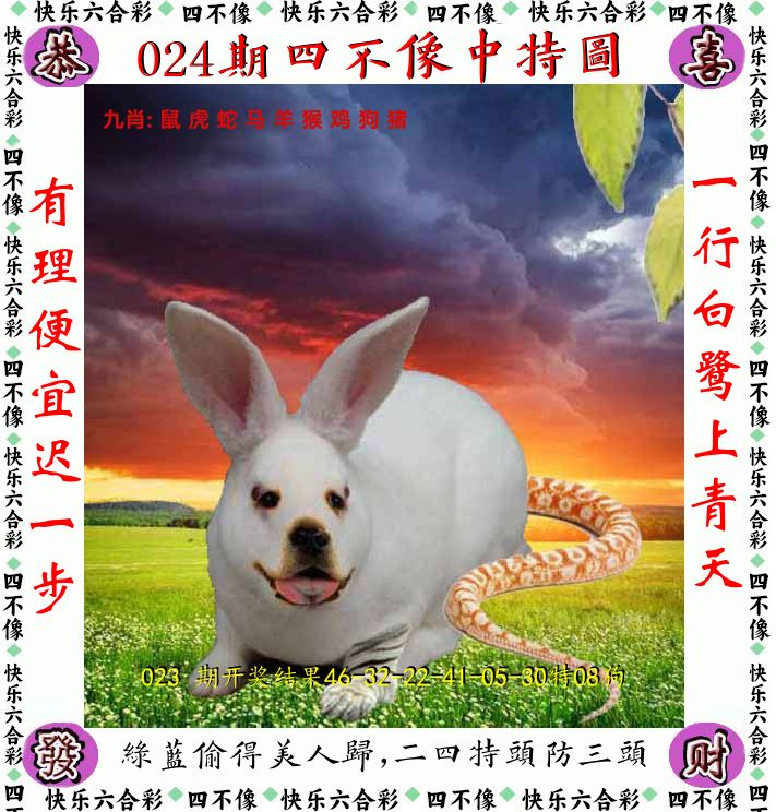 四不像 第24期