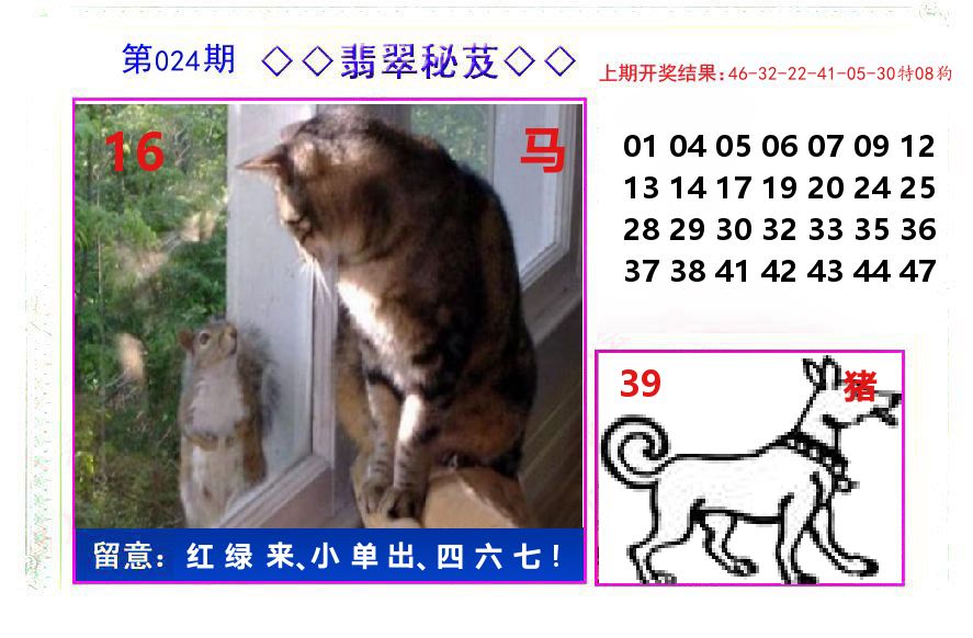 翡翠秘芨 第24期