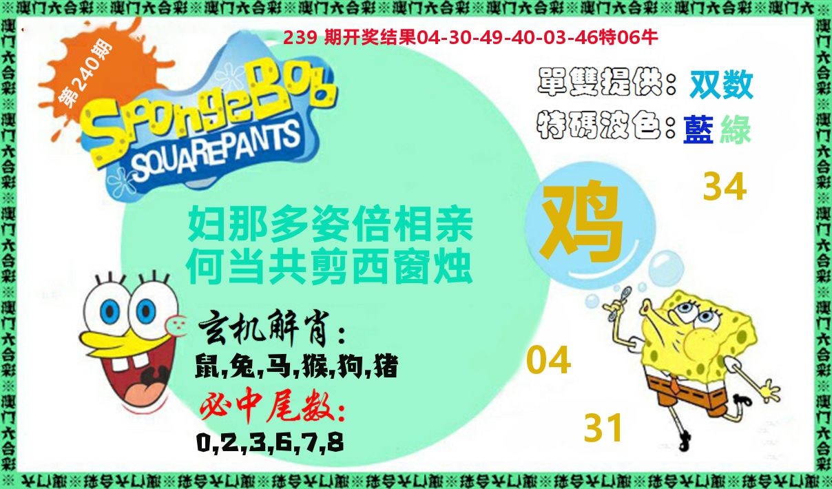 新特码玄机 第240期
