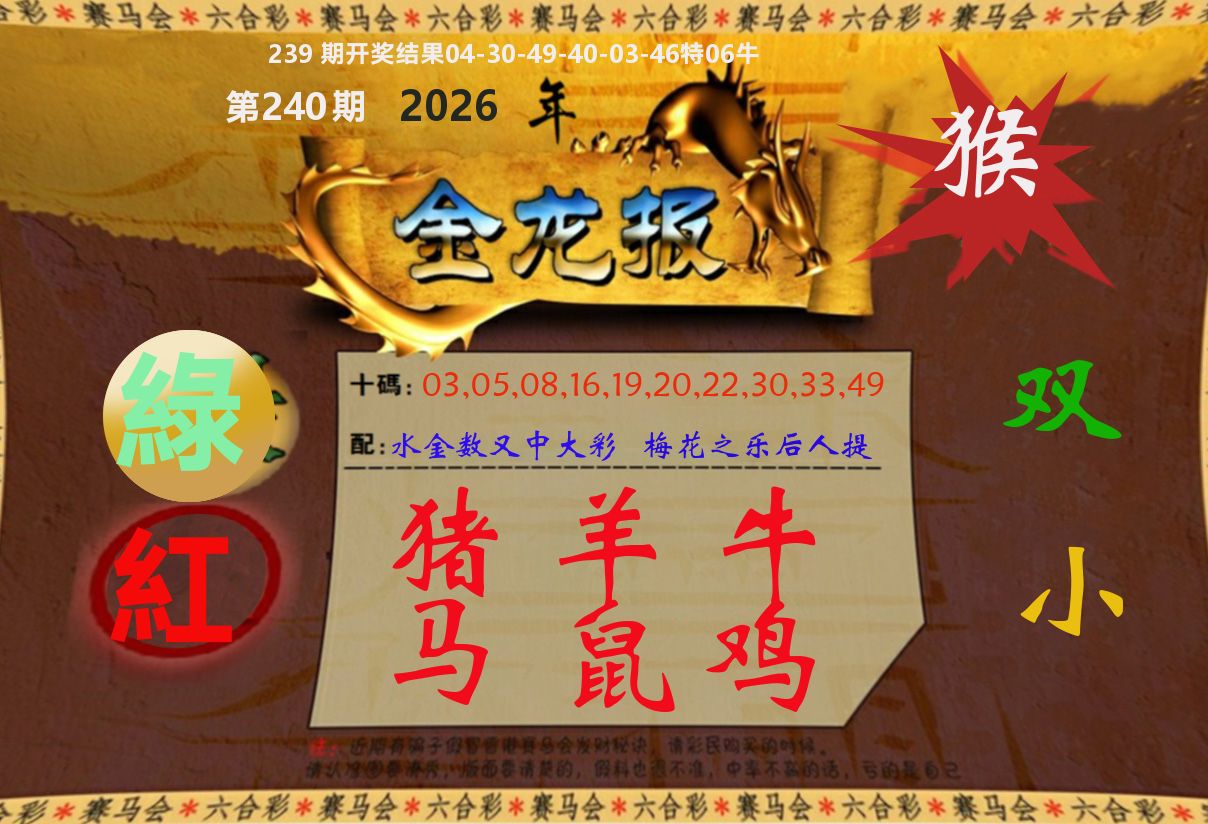金龙报 第240期