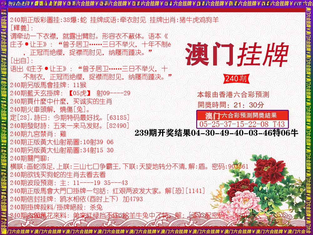 澳门挂牌 第240期