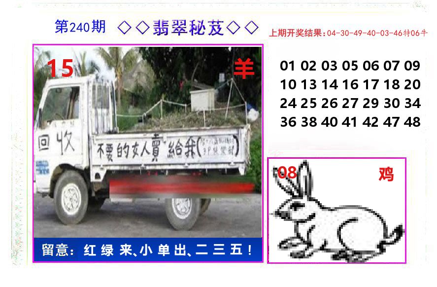 翡翠秘芨 第240期