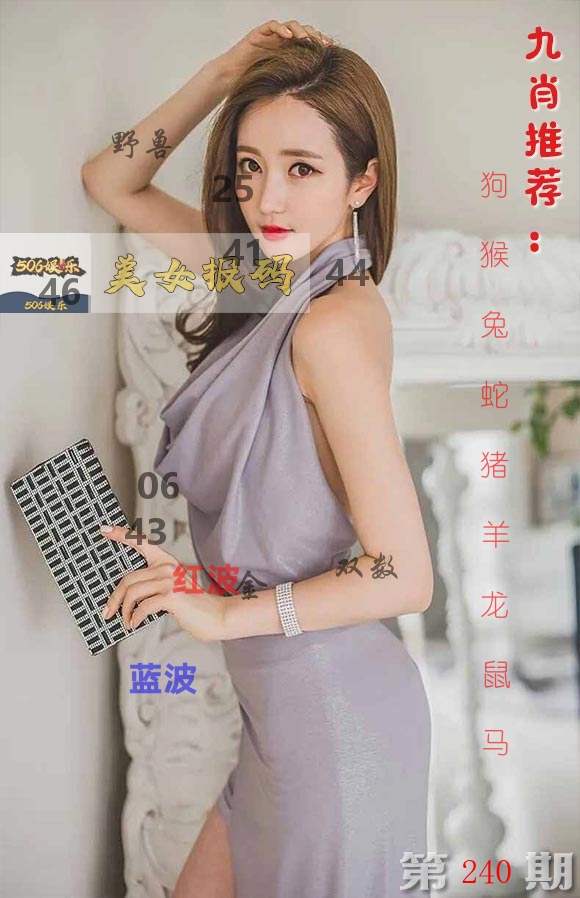 美女报码 第240期