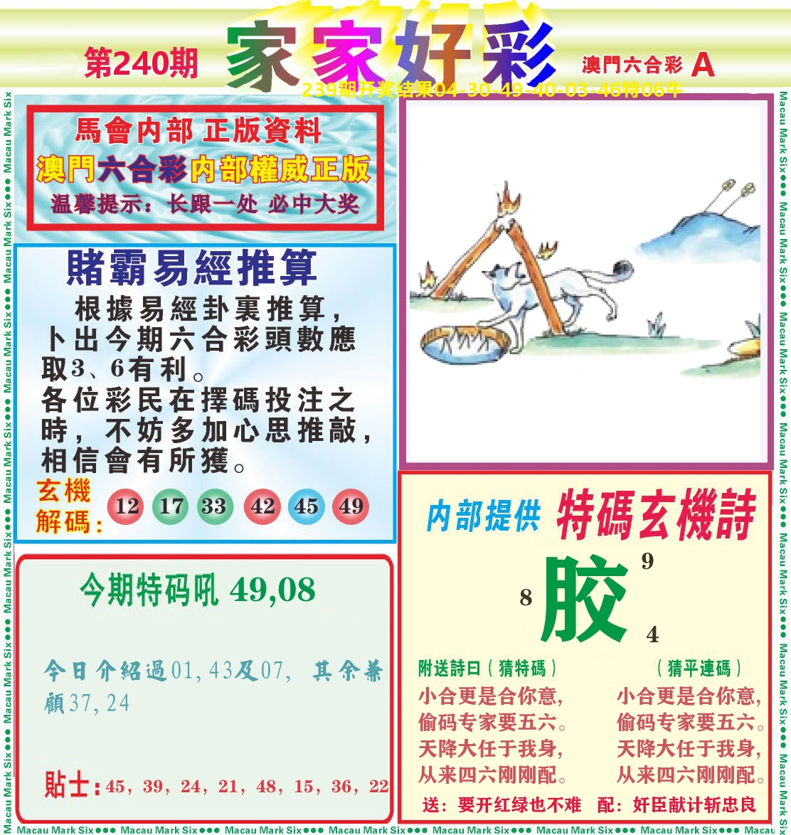 家家好彩A 第240期