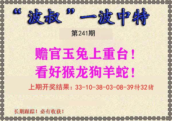 波叔中特 第241期