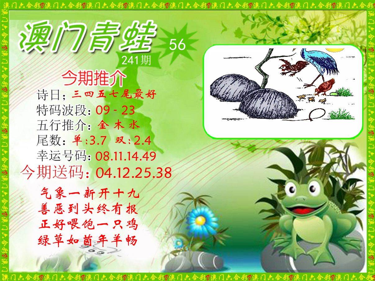 青蛙系列56 第241期