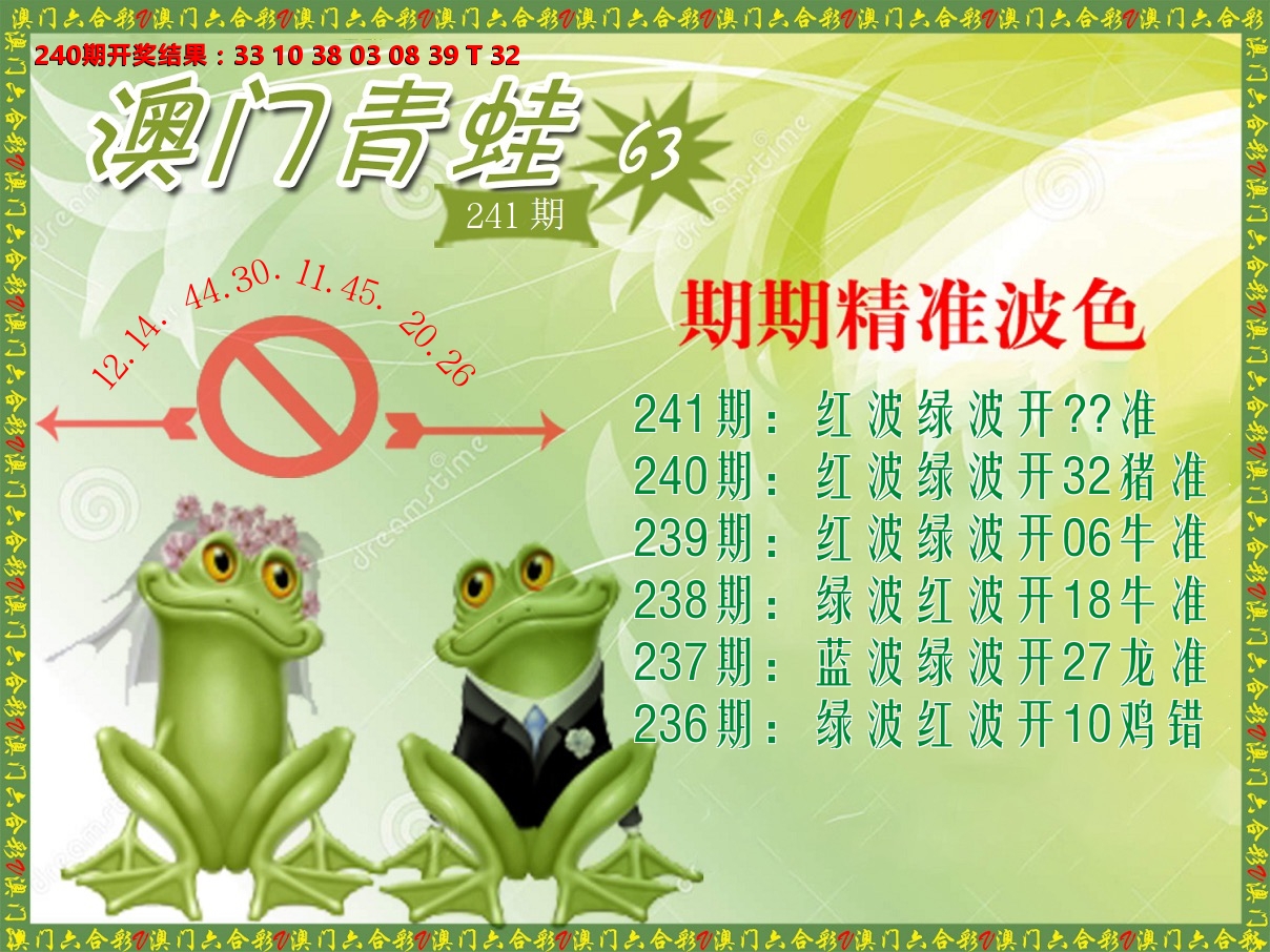 青蛙系列63 第241期