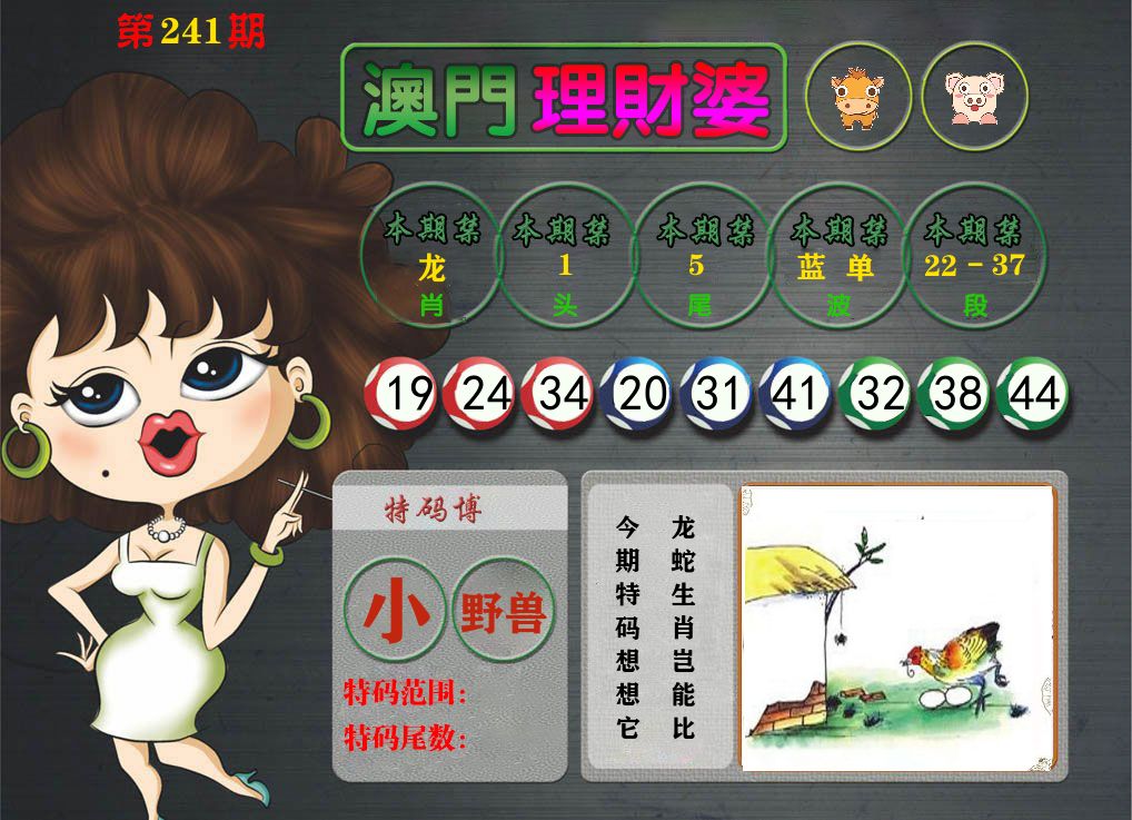 理财婆 第241期