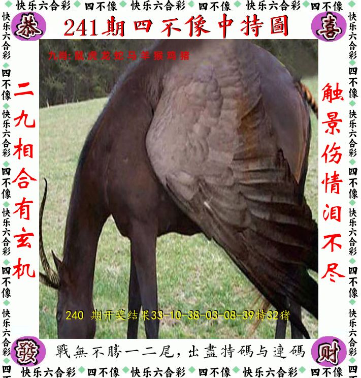 四不像 第241期