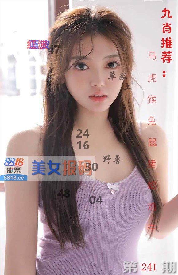 美女报码 第241期