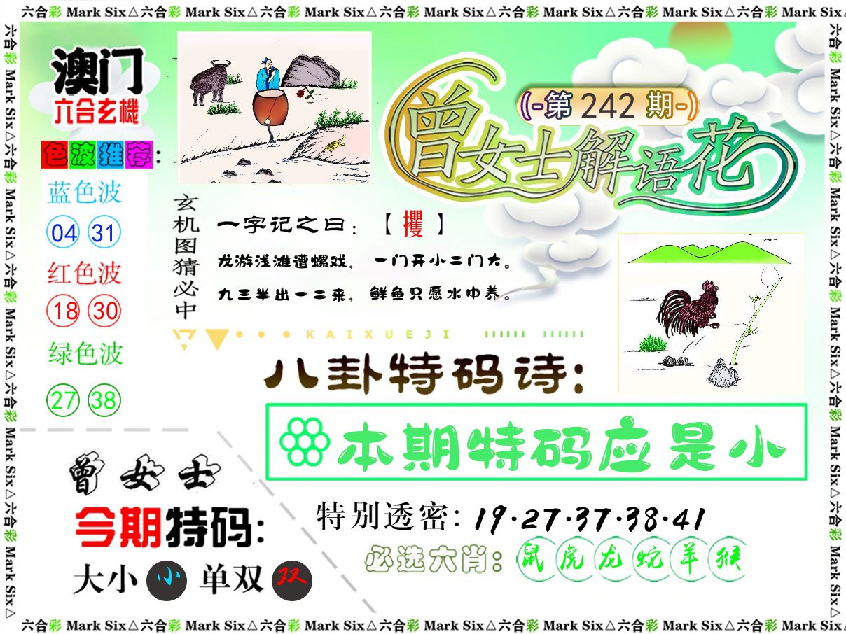 曾女士解语花 第242期