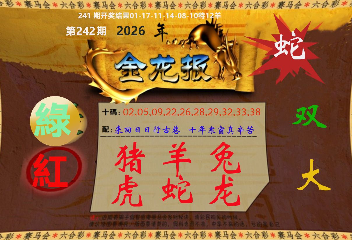 金龙报 第242期
