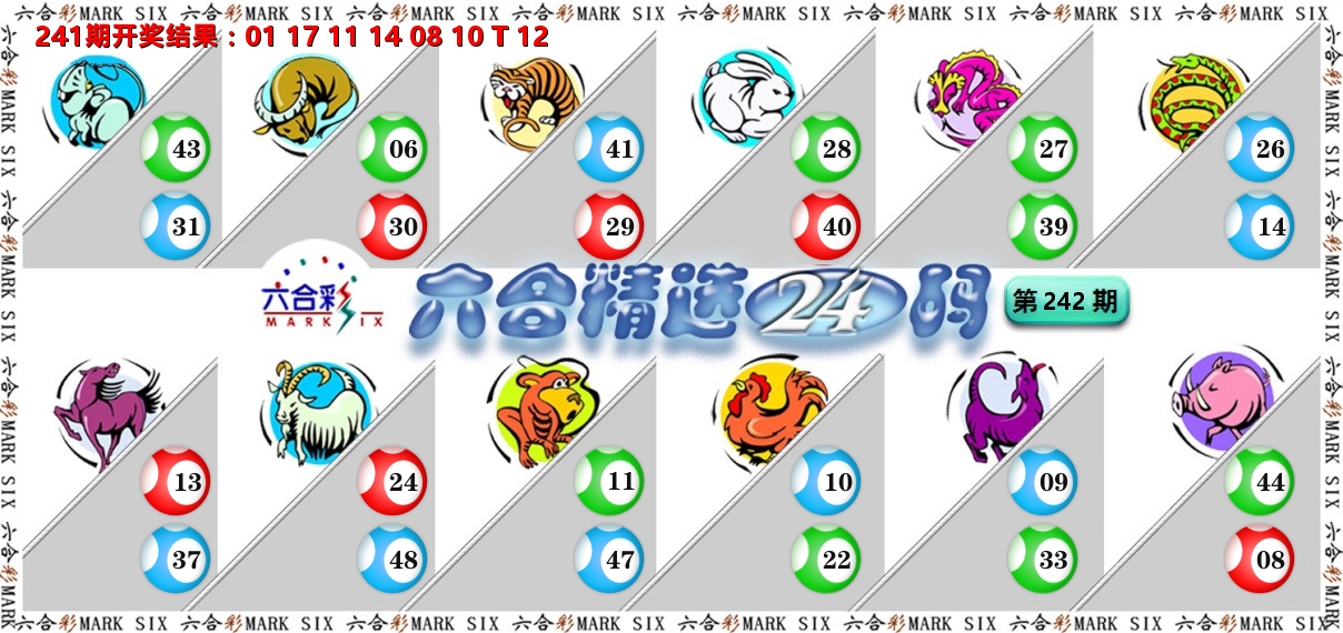六合精选24码 第242期