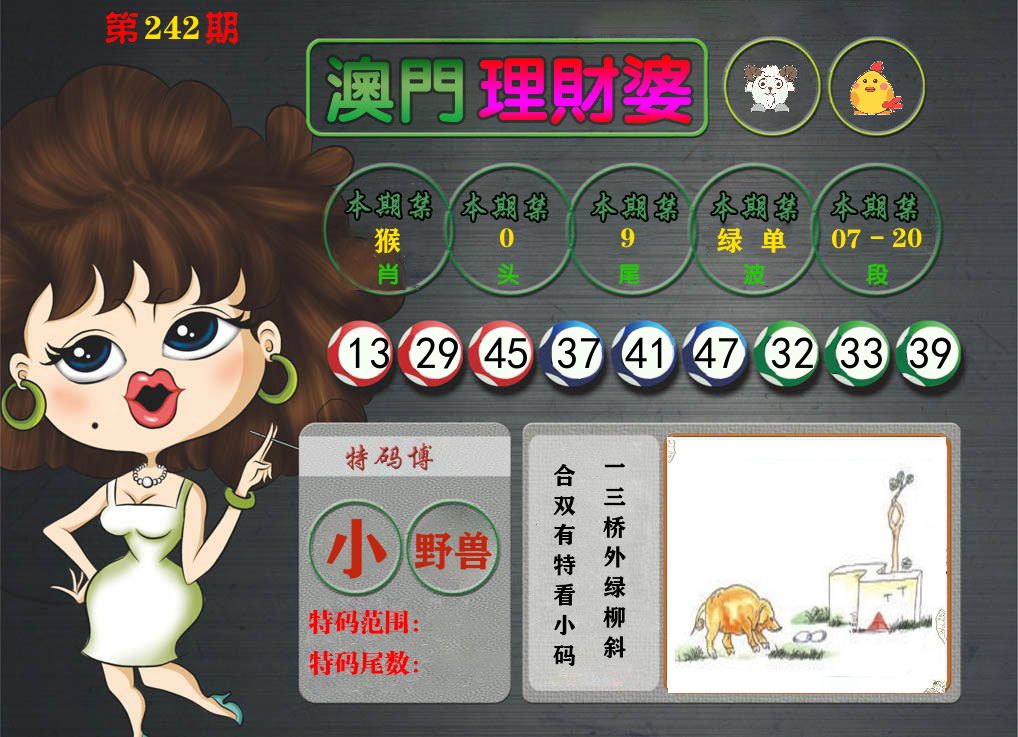 理财婆 第242期