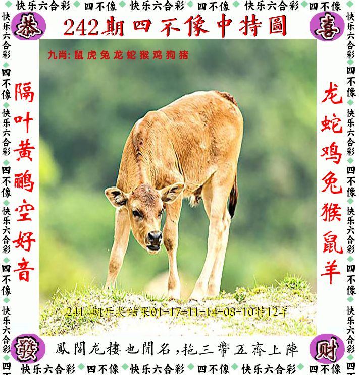 四不像 第242期