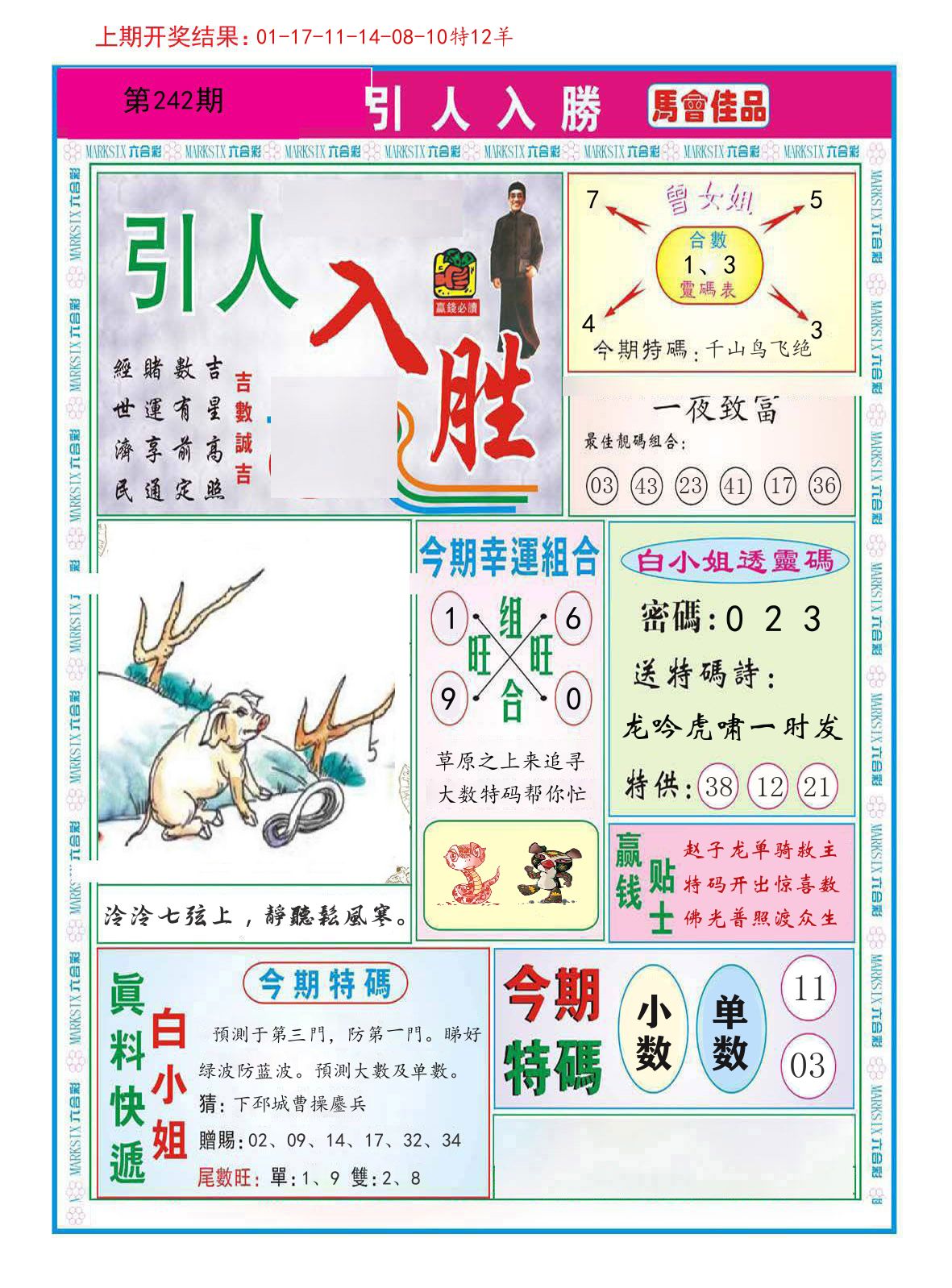 引人入胜 第242期