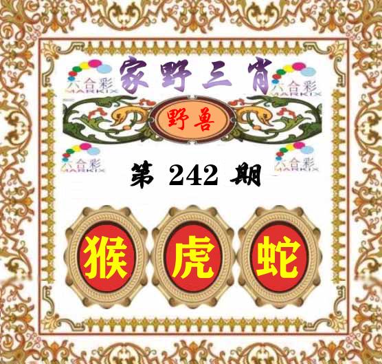 家野三肖 第242期