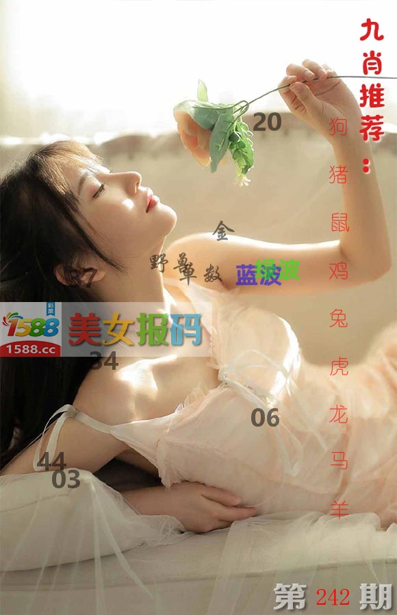 美女报码 第242期