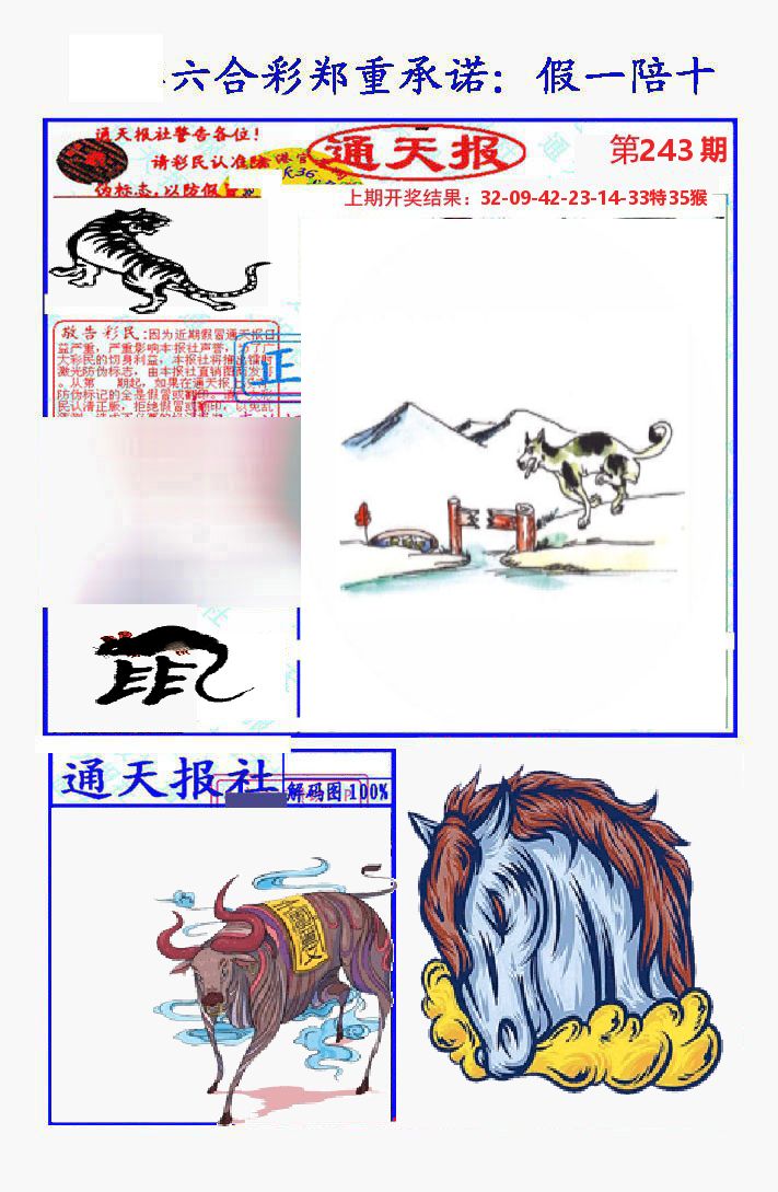 通天报 第243期