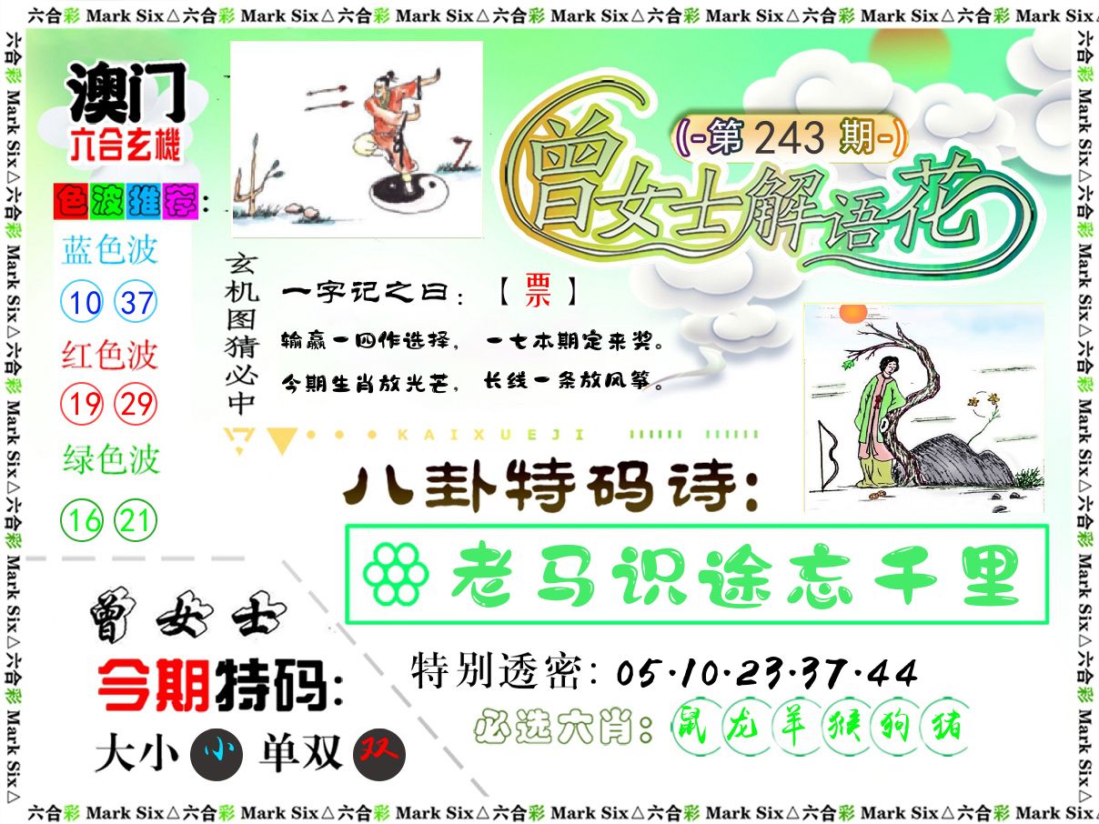 曾女士解语花 第243期