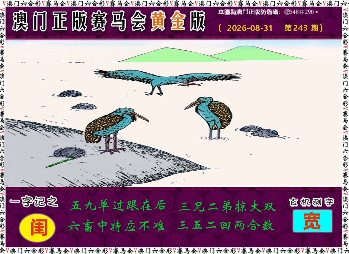 赛马会黄金版 第243期