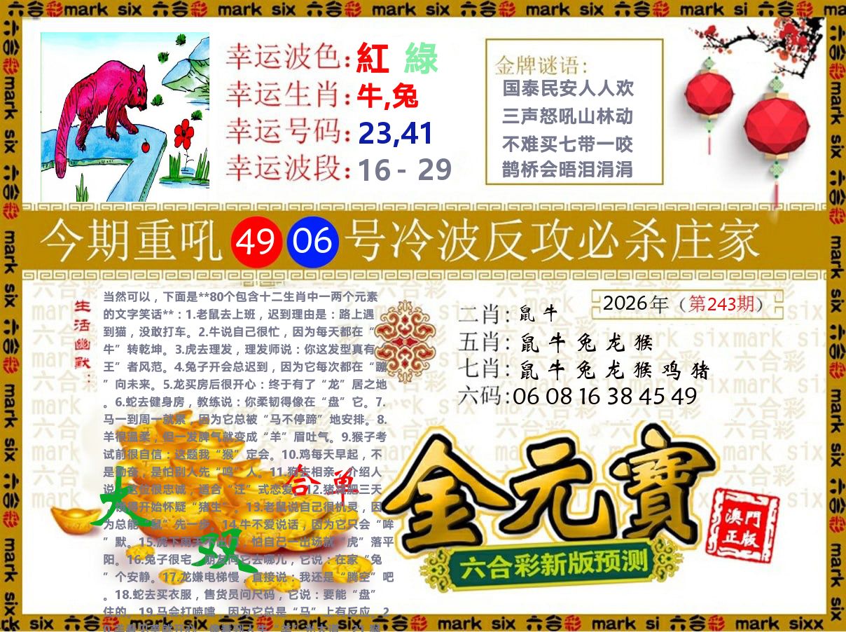 金元宝 第243期
