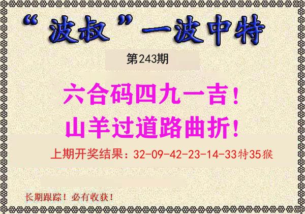波叔中特 第243期