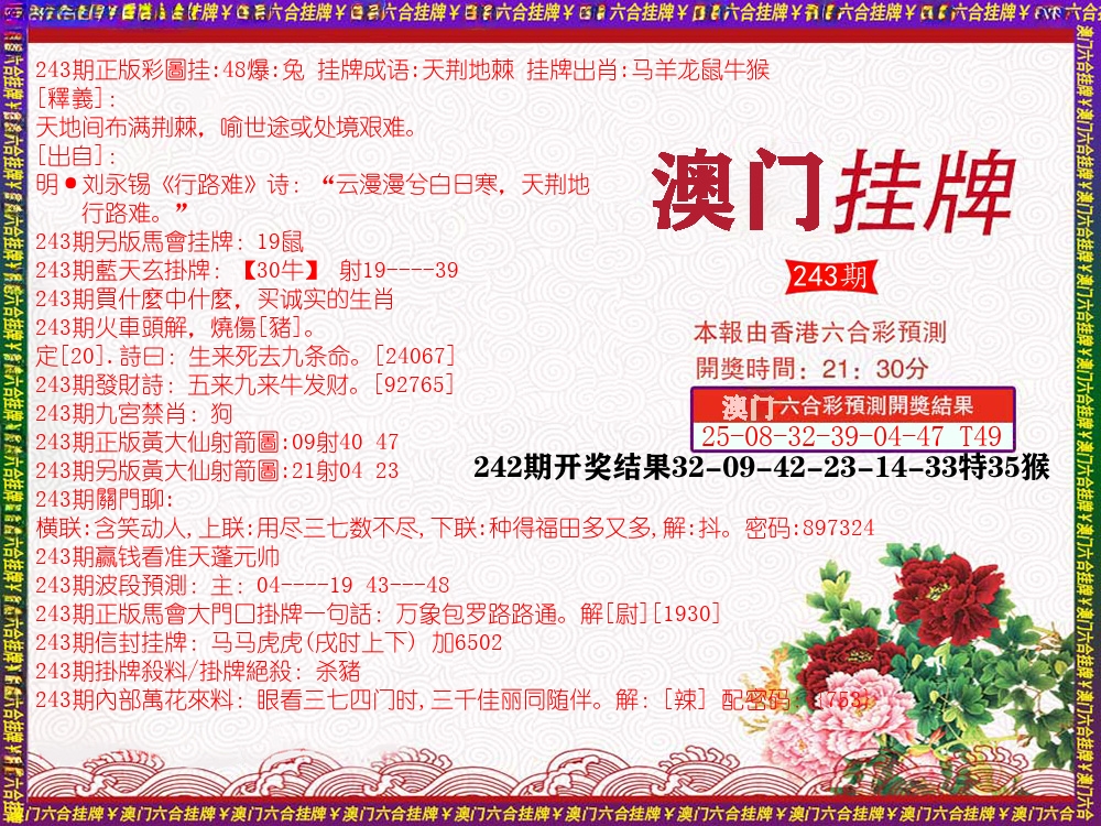 澳门挂牌 第243期
