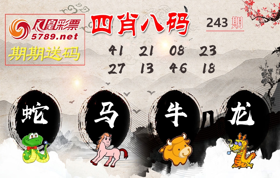 四肖八码期期送 第243期