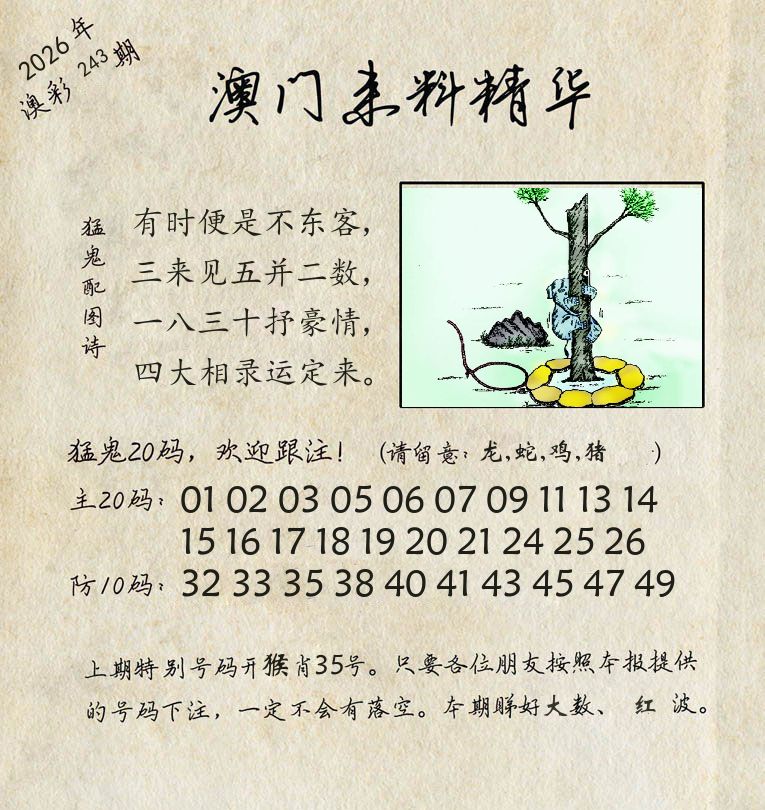 精华来料 第243期