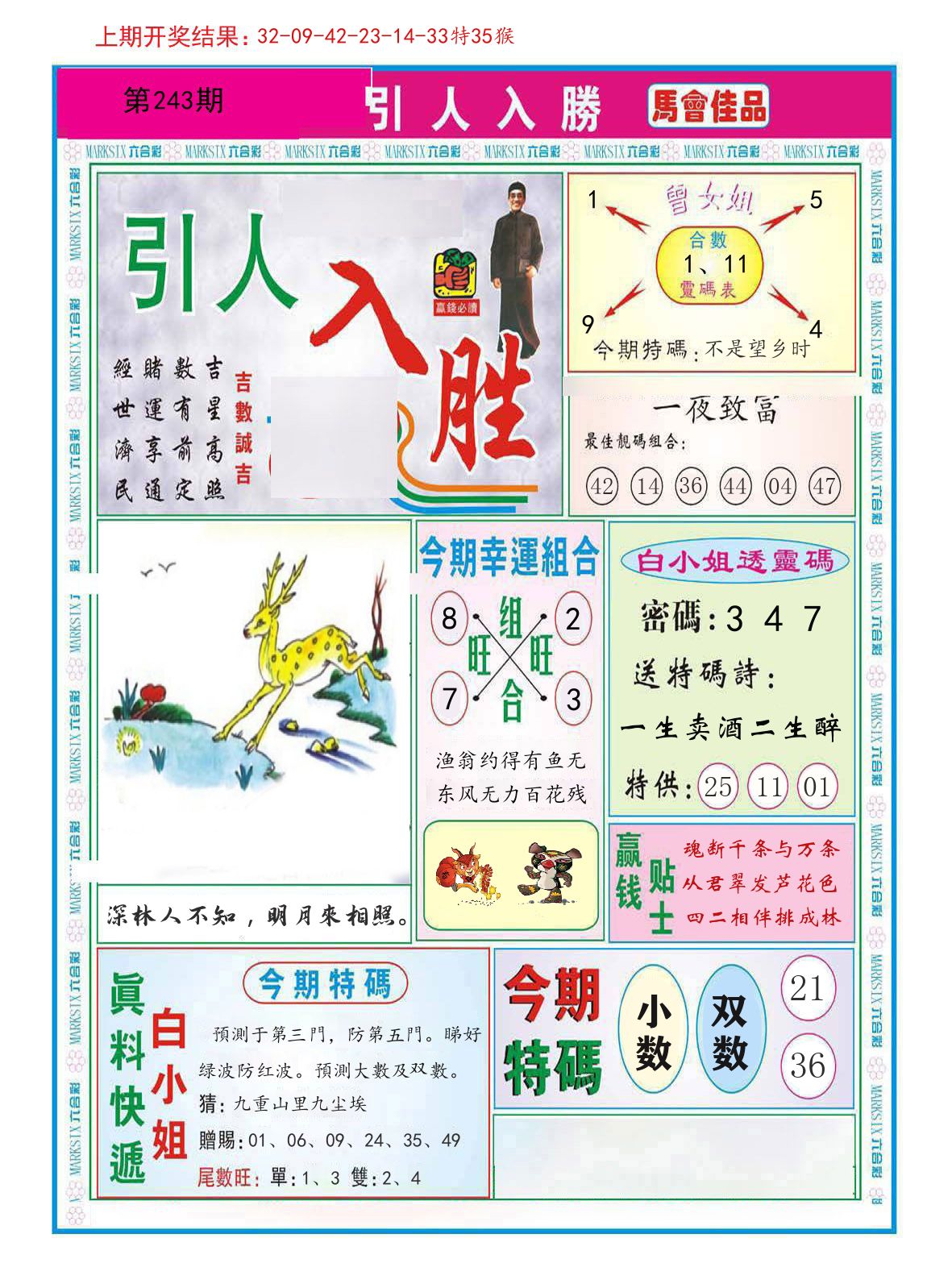 引人入胜 第243期