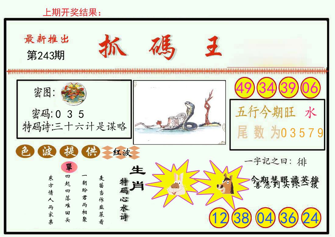 最新抓码王 第243期