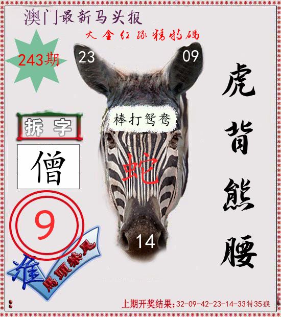 马头报 第243期