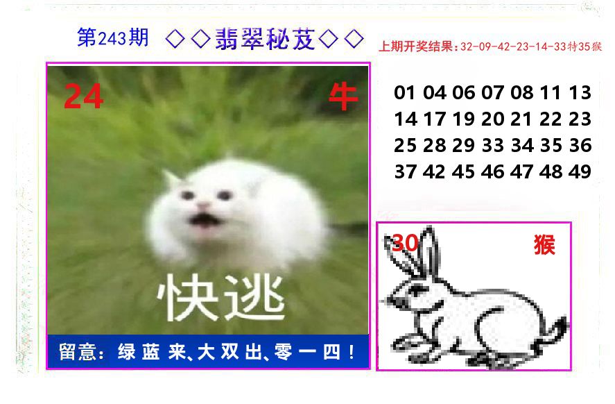 翡翠秘芨 第243期