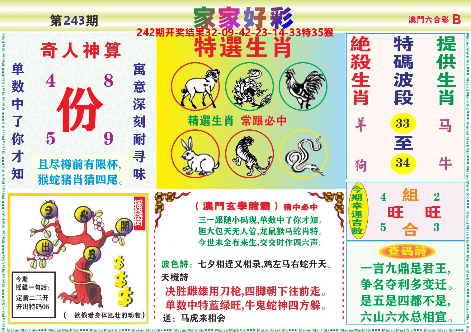 家家好彩B 第243期