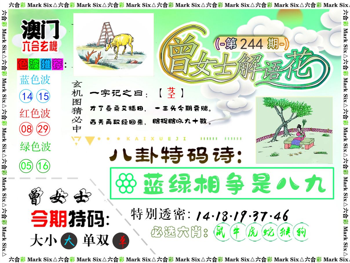 曾女士解语花 第244期