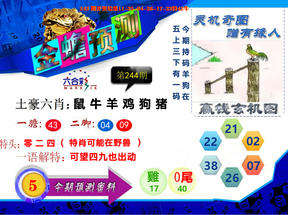 金蟾预测 第244期