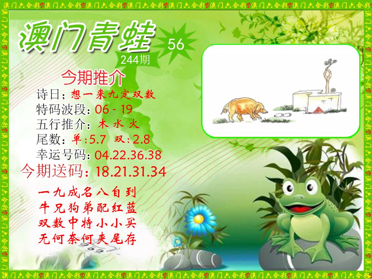 青蛙系列56 第244期